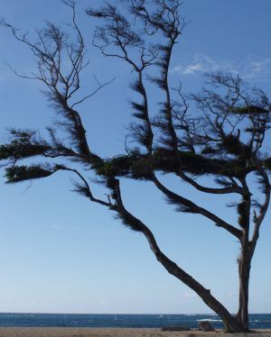 WS Wind and Sky - 10.jpg